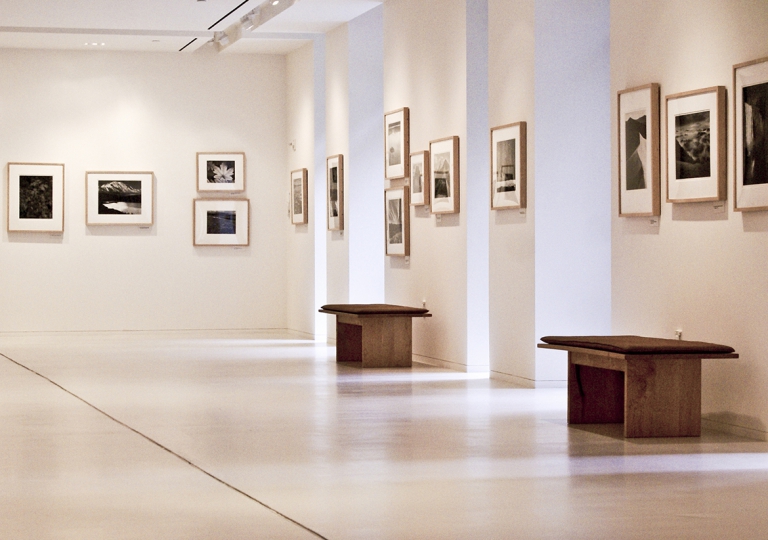 Gallery 2